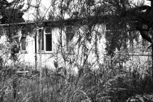 Prefab back garden in Peckham, 2002 | Elisabeth Blanchet