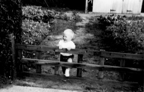 Garry Slater in vegetable patch, Marston Moretaine