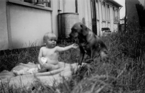 Baby and dog in front of Uni-Seco prefab, Silver End