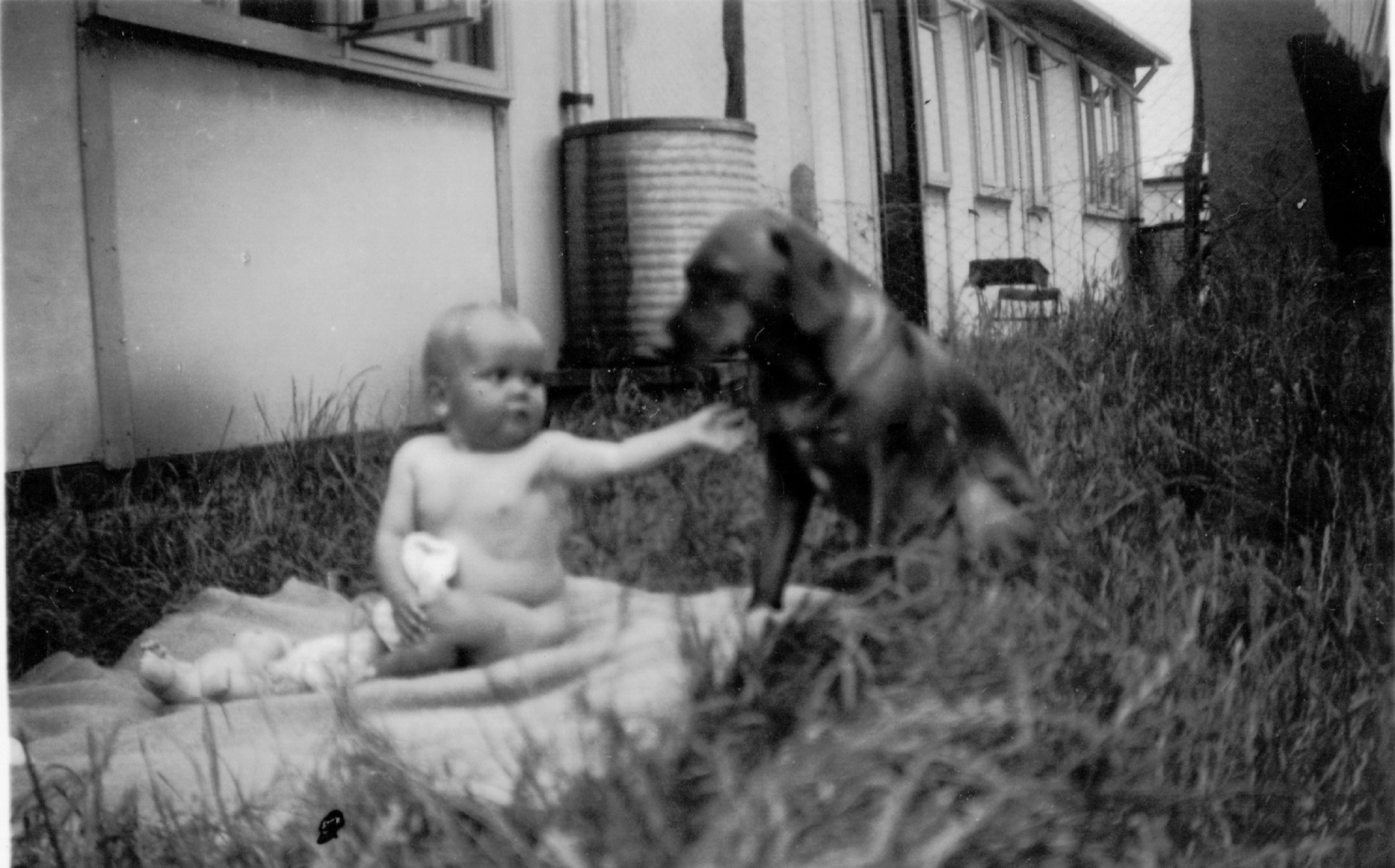 Baby and dog in front of Uni-Seco prefab, Silver End
