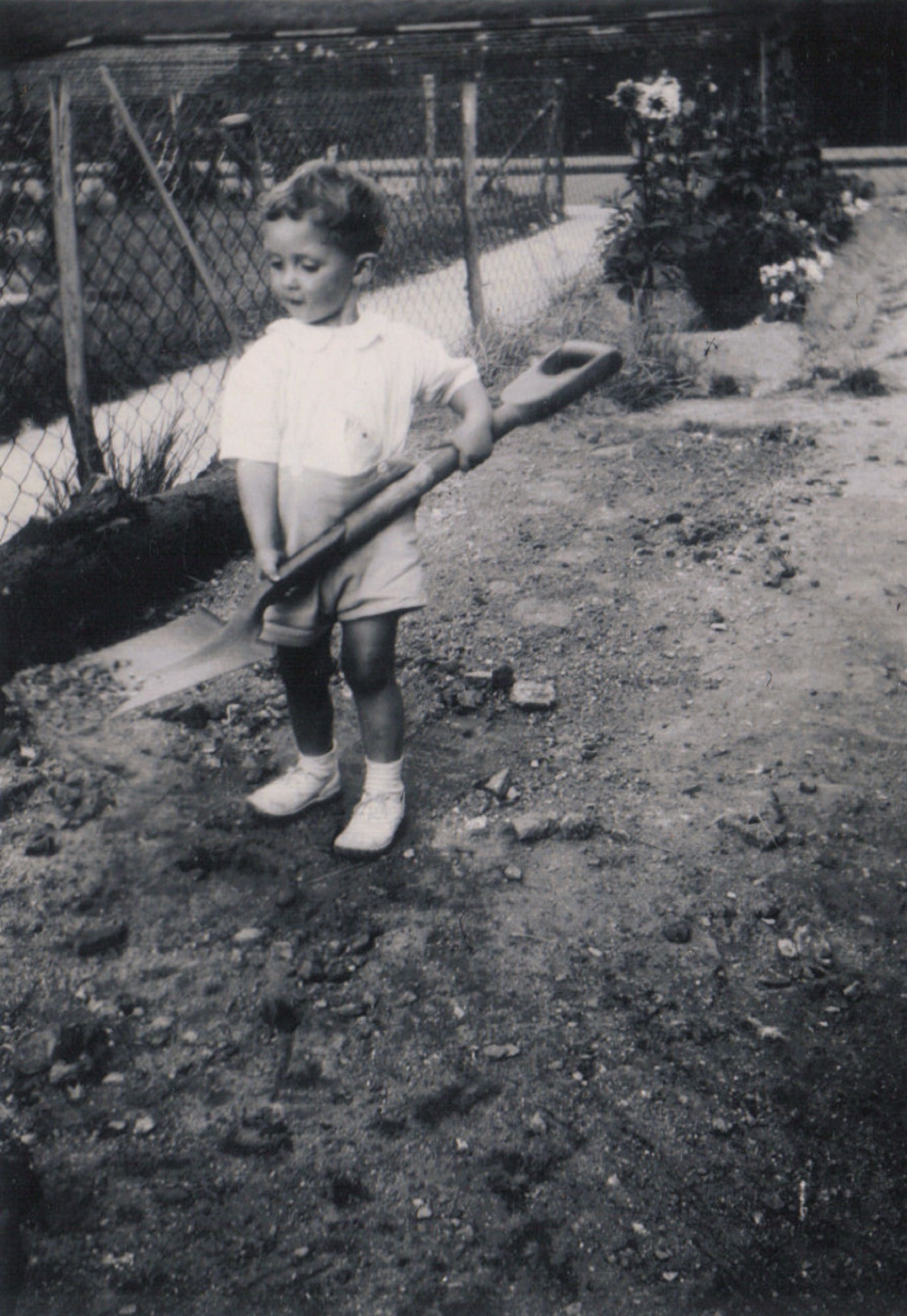 Terence with a large shovel in the prefab garden, Dartmouth Park Hill, London N19