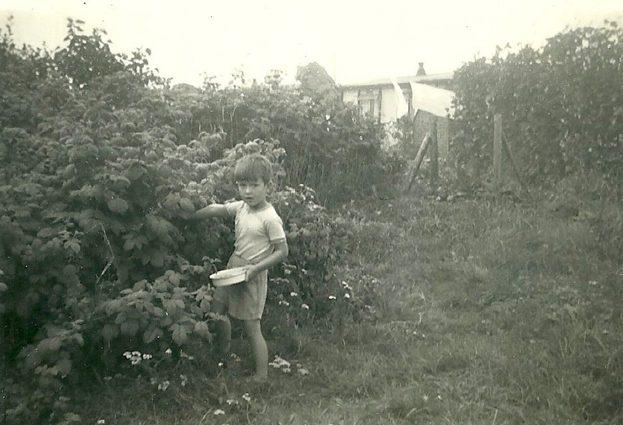 Peter in the back garden. Abbots Gardens, Shrewsbury