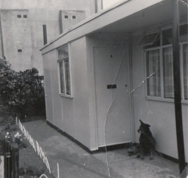 The front porch showing large living room window and hallway window, and Rinty. Tooke Street, London E14