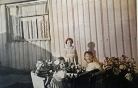 Lesley and her brother and cousins in the garden at Avelon Road. Romford.