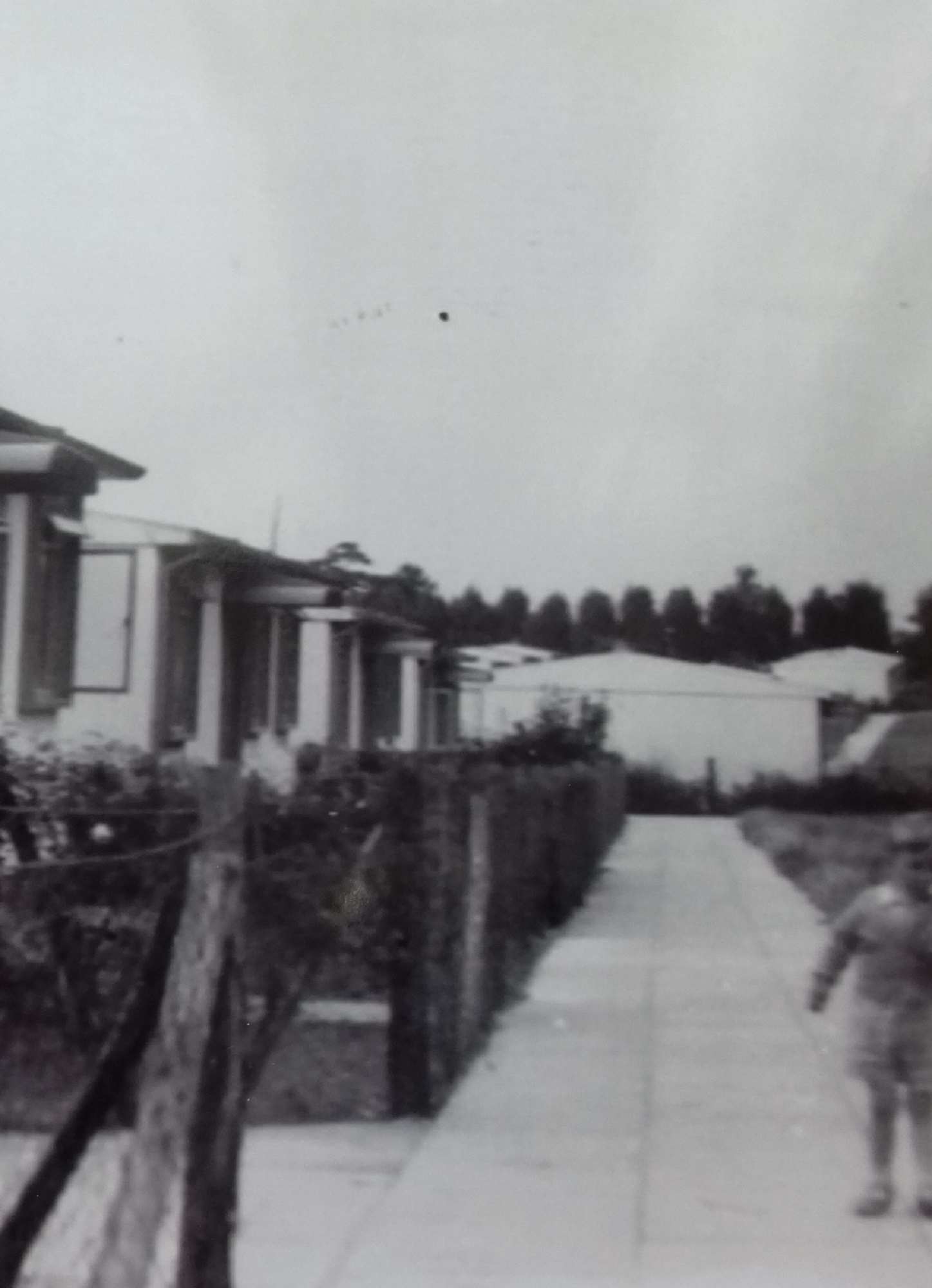 Me John Turner(picture taken looking towards Sandy Lane end). Cuddington Way, Cheam