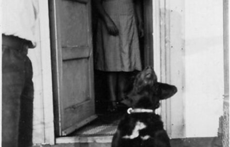 Terence. Temporary hut, Tonsley Street, Wandsworth