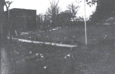 Prefab garden, Gattons Way, North Cray