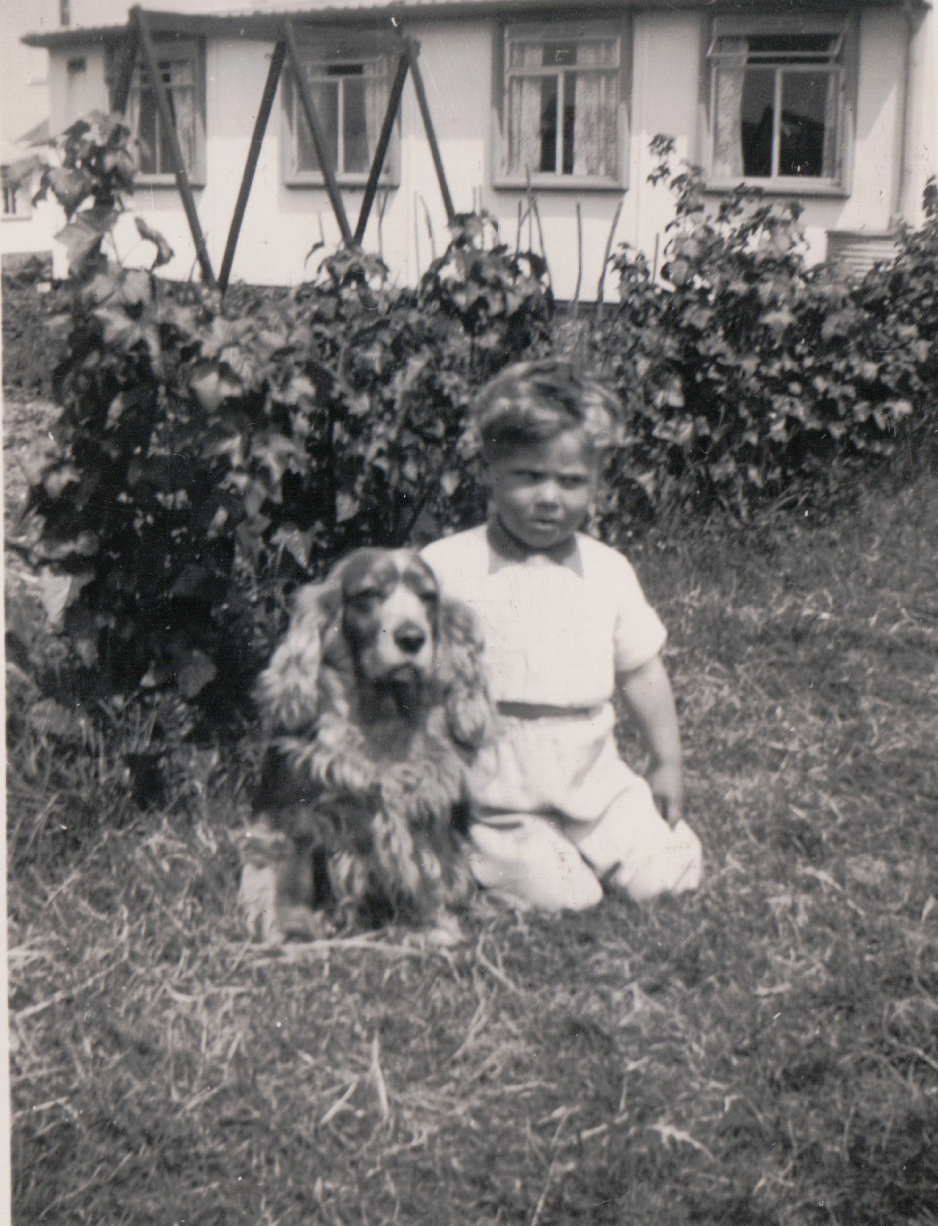 Dog and child (unknown). 13 Mill Close, Ringmer