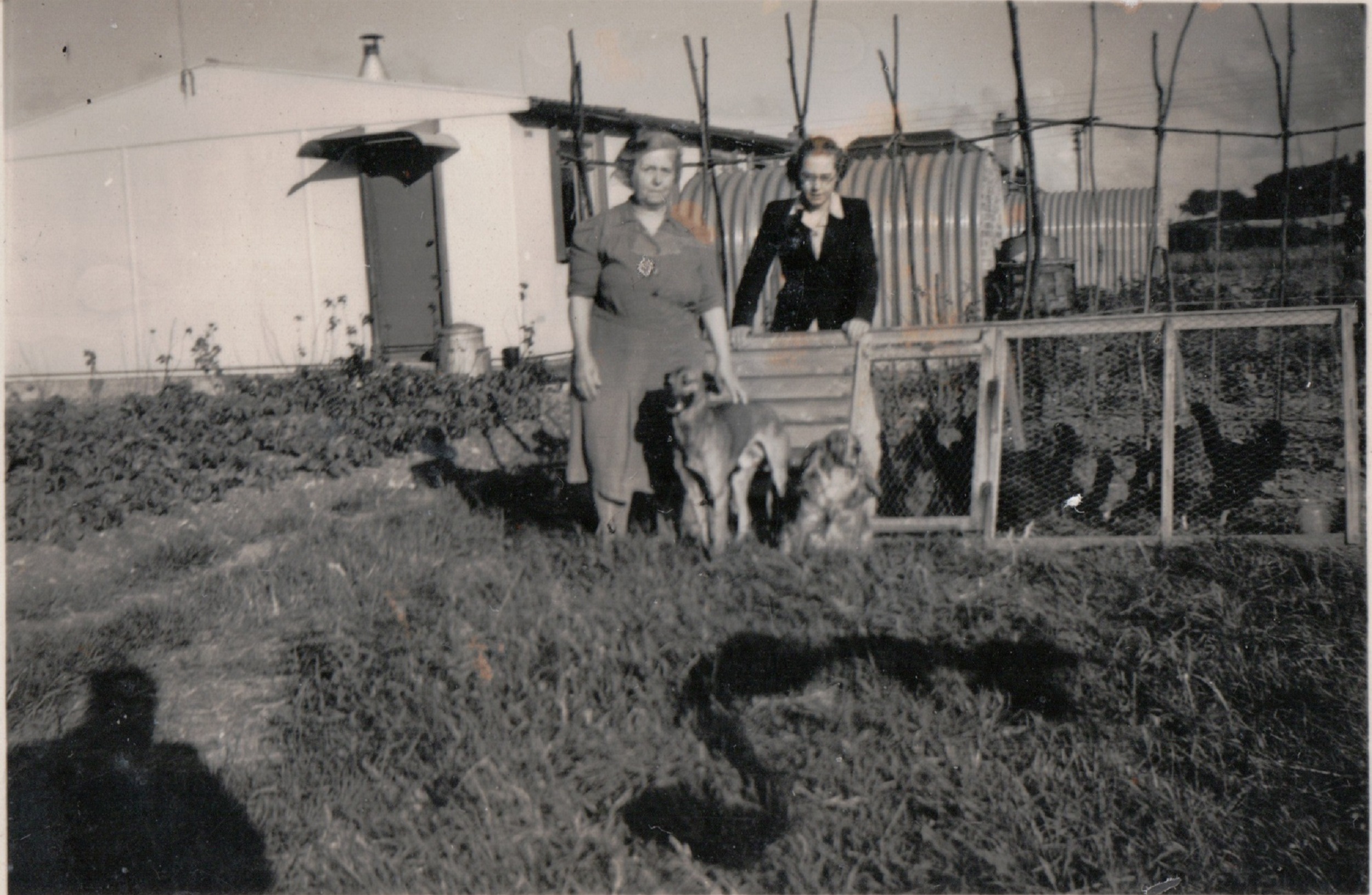 Winifred Arnold and daughter with dogs and chickens. 13 Mill Close, Ringmer
