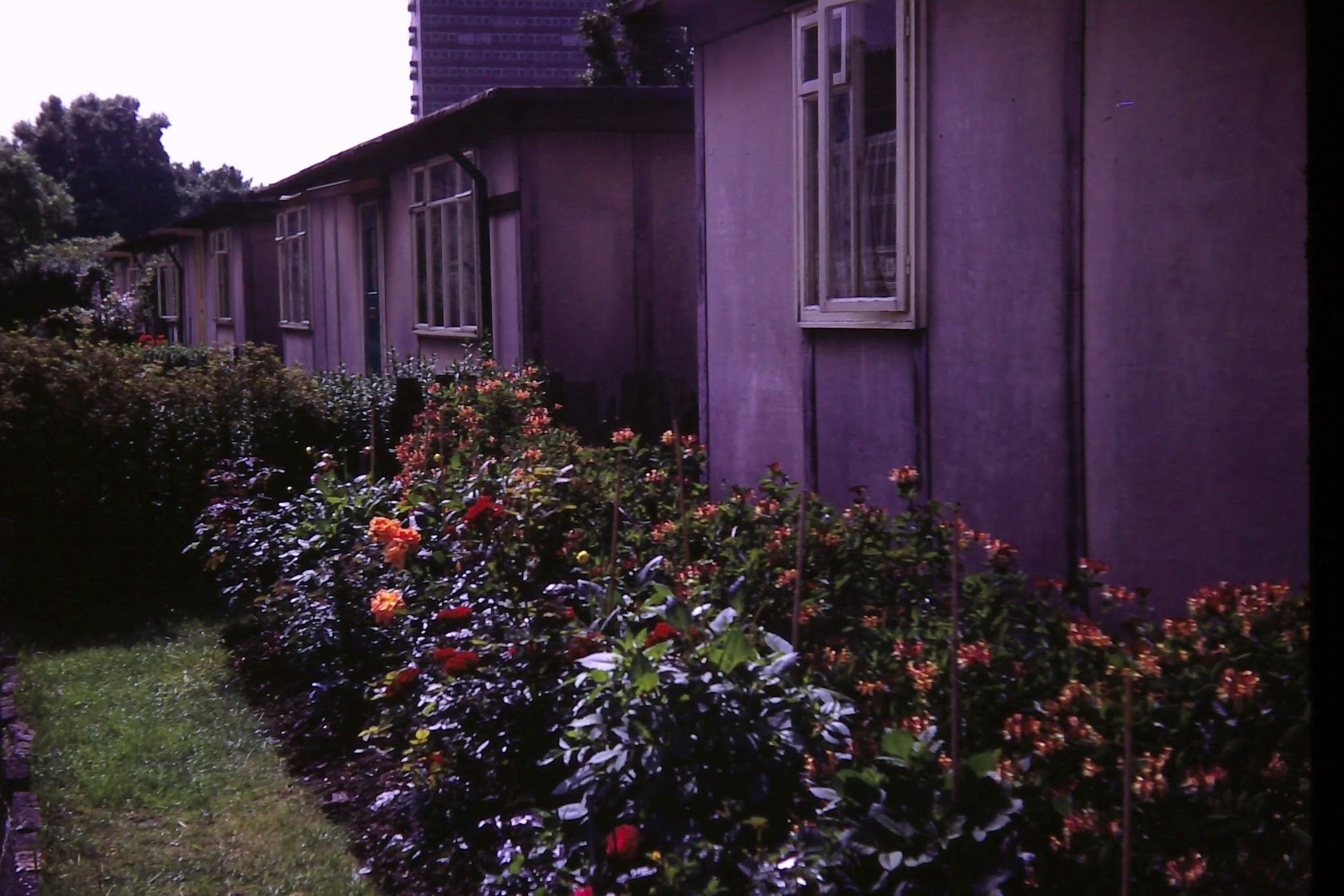 Prefabs in Henwood Road, Rotherhithe, SE16